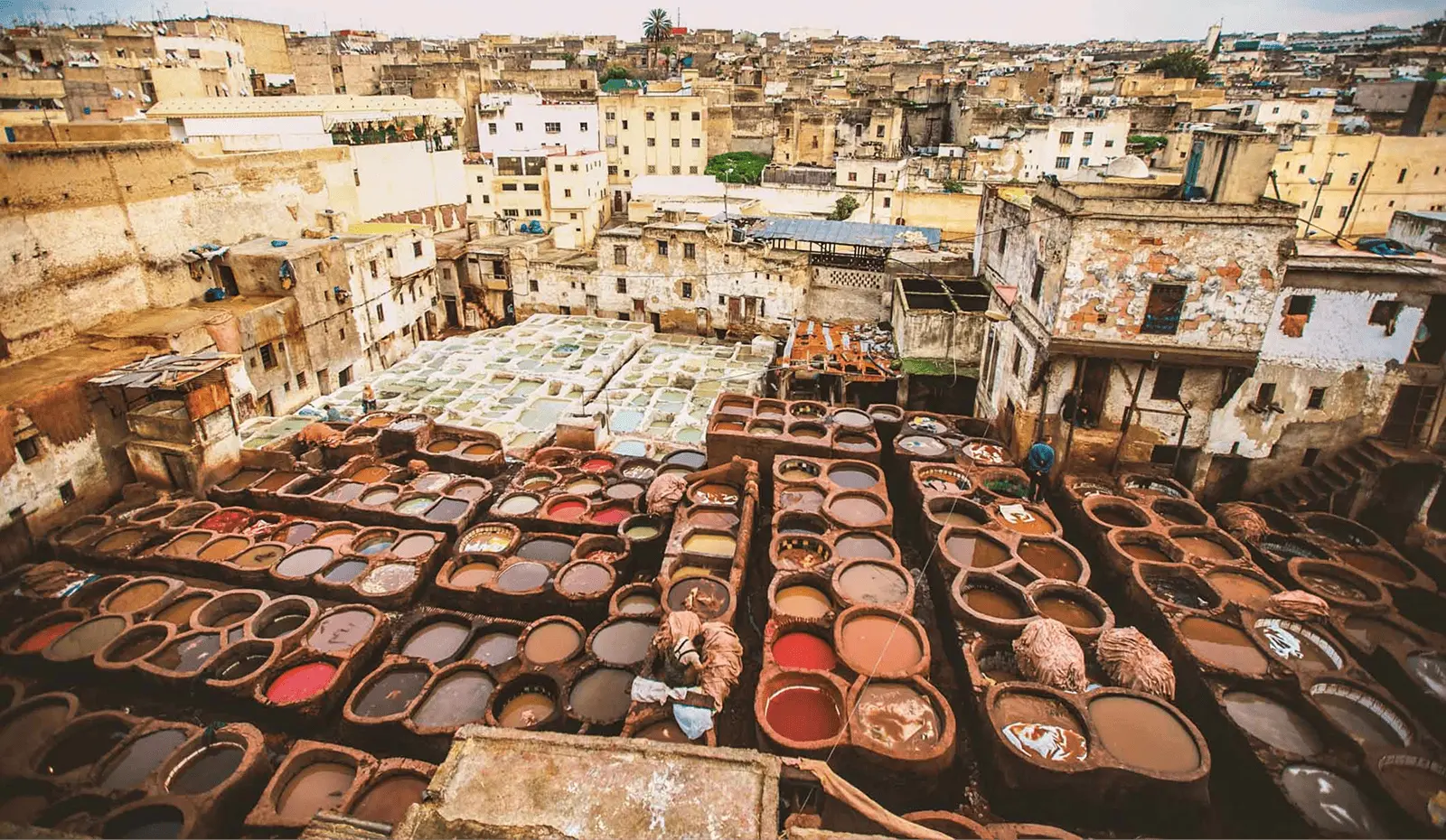 Fes City