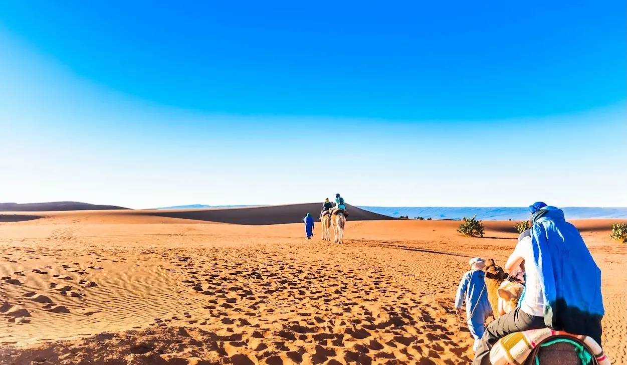 mhamid Desert